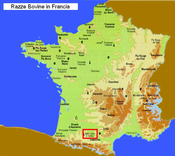 Zona di allevamento della razza Gasconne Aréolée  in Francia