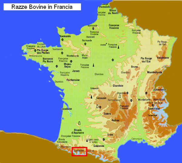 Zona di allevamento della razza Lourdaise in Francia