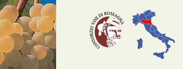 Albana di Romagna DOCG