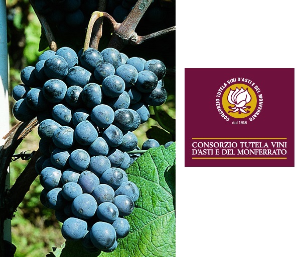 Barbera del Monferrato Doc