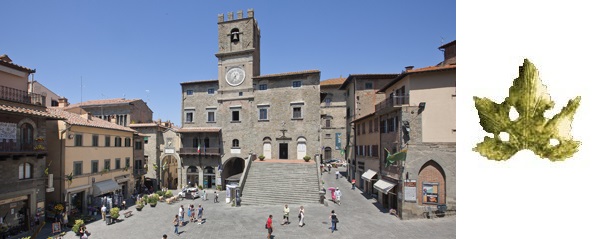 Cortona Doc