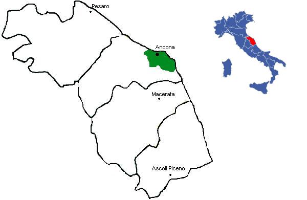 Zona di produzione del Rosso Conero Riserva DOCG 