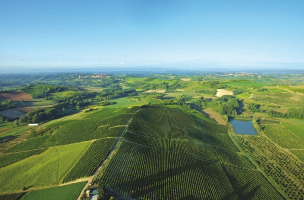 Ruchè di Castagnole Monferrato