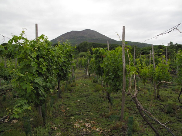 Vesuvio