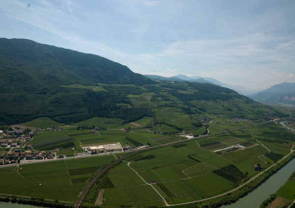 Vigneti delle Dolomiti