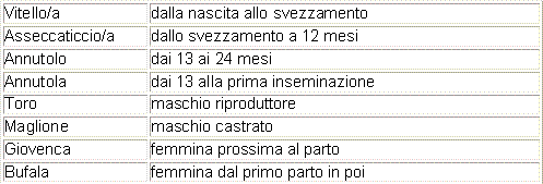 Denominazione dei bufalini alle diverse età